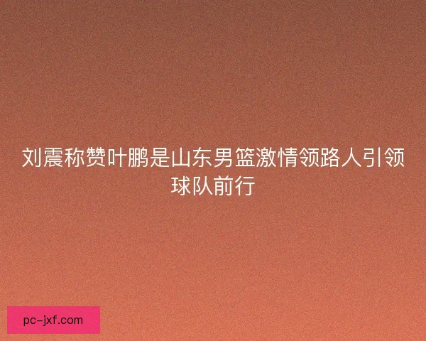 刘震称赞叶鹏是山东男篮激情领路人引领球队前行