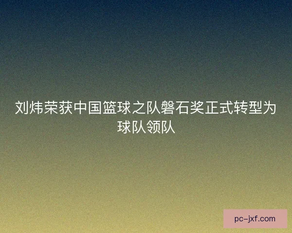 刘炜荣获中国篮球之队磐石奖正式转型为球队领队